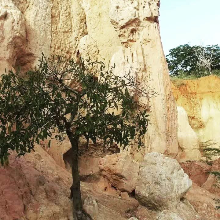 Sabbia_Dorata_e_cucina_del_diavolo_Marafa_02