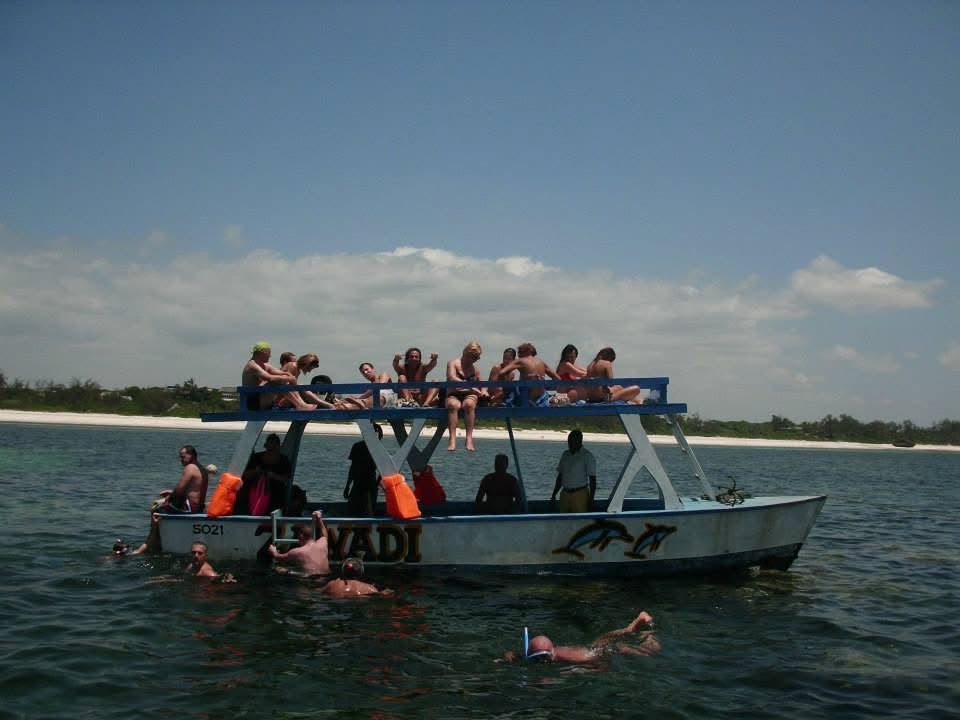 Safari_Blue_09