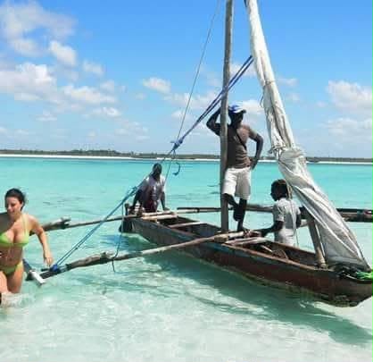 Safari_Blue_11