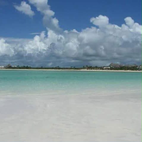 Safari_Blue_15