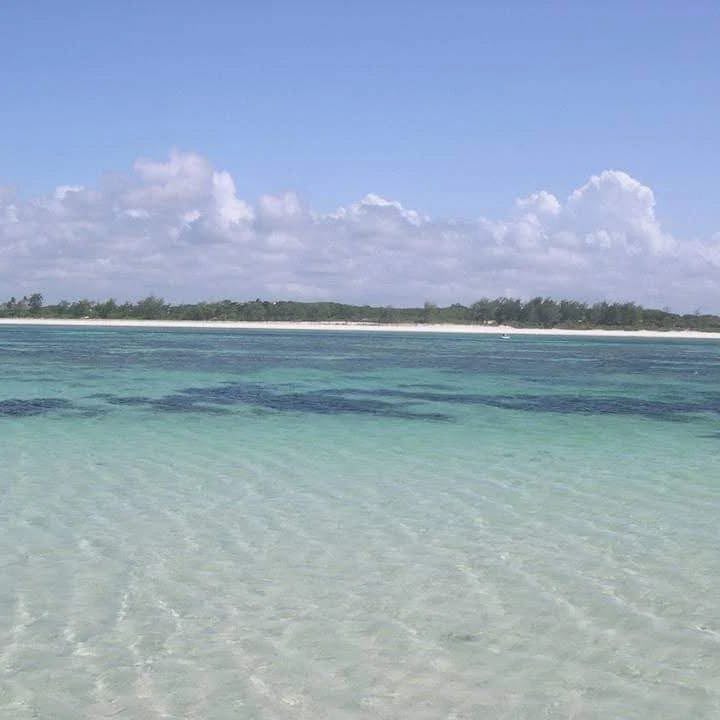 Safari_Blue_16