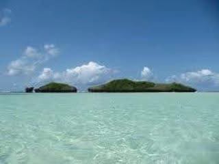 Safari_Blue_17
