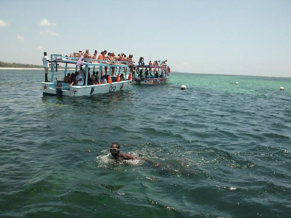 Safari_Blue_20