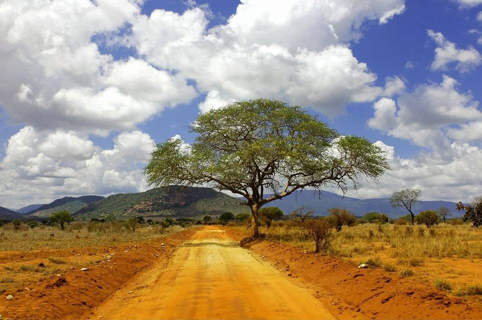 Safari_tsavo_East_e_ovest_amboseli_masai_Mara_003