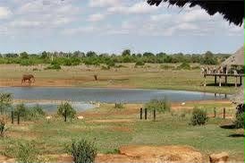 Safari_tsavo_East_e_ovest_amboseli_masai_Mara_018