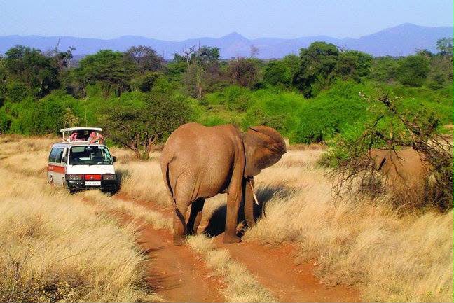 Safari_tsavo_East_e_ovest_amboseli_masai_Mara_025