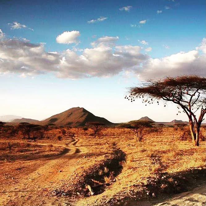 Safari_tsavo_East_e_ovest_amboseli_masai_Mara_029