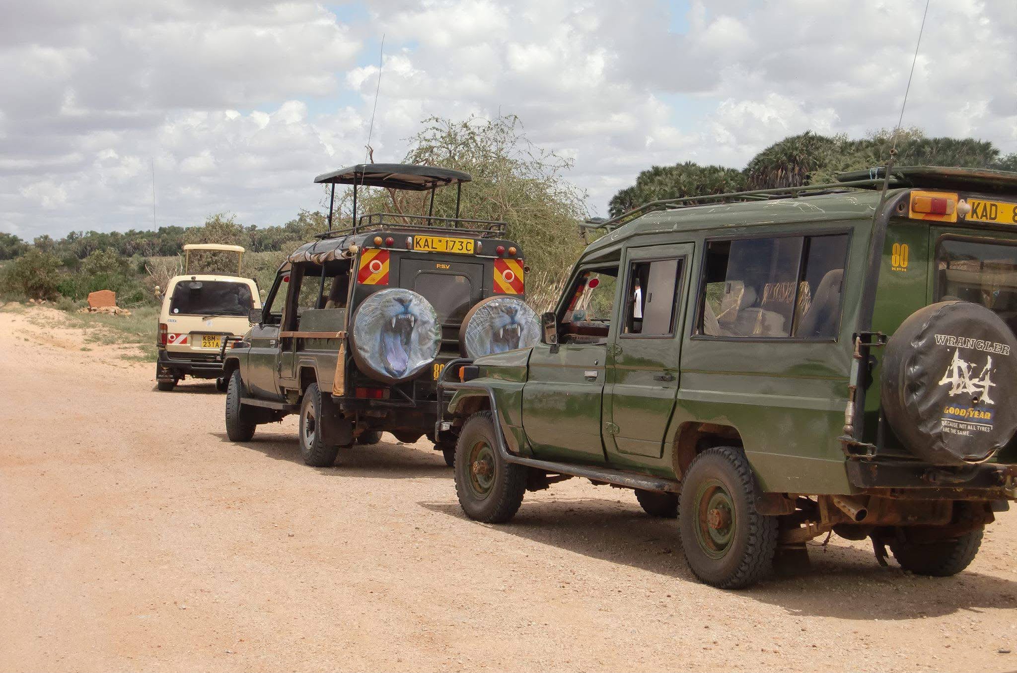 Safari_tsavo_East_e_ovest_amboseli_masai_Mara_041