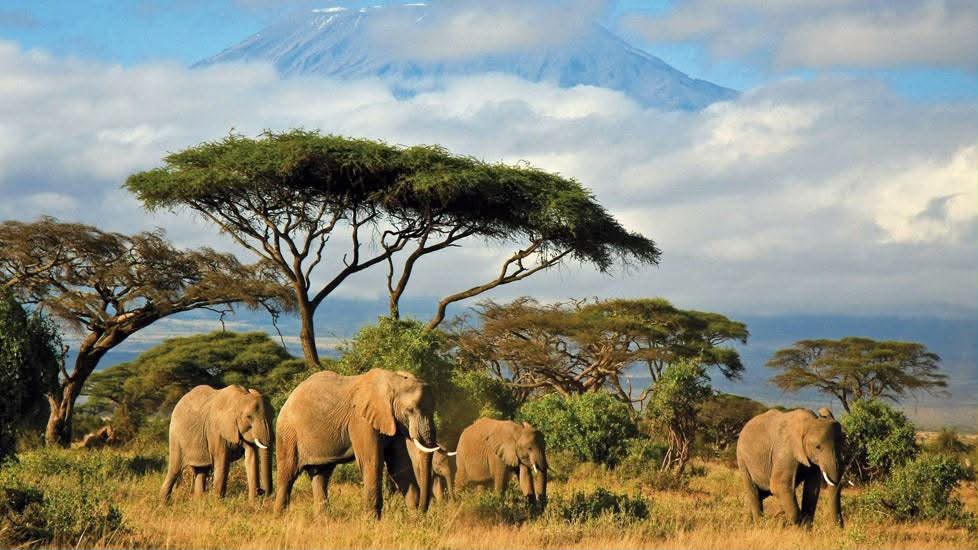 Safari_tsavo_East_e_ovest_amboseli_masai_Mara_049