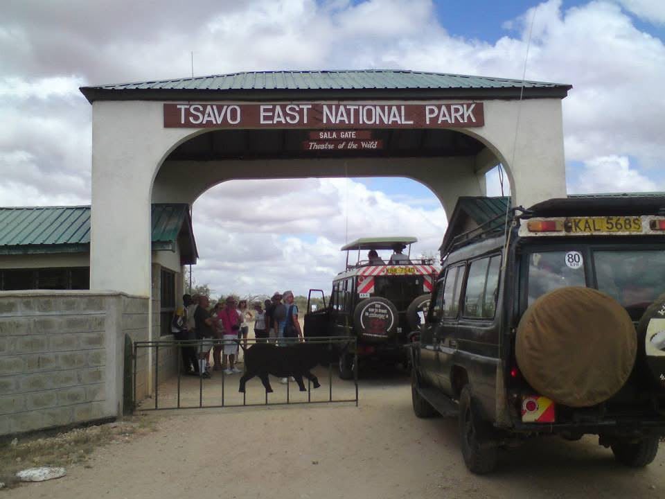 Safari_tsavo_East_e_ovest_amboseli_masai_Mara_057