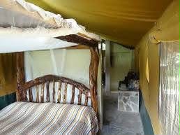 Safari_tsavo_East_e_ovest_amboseli_masai_Mara_062