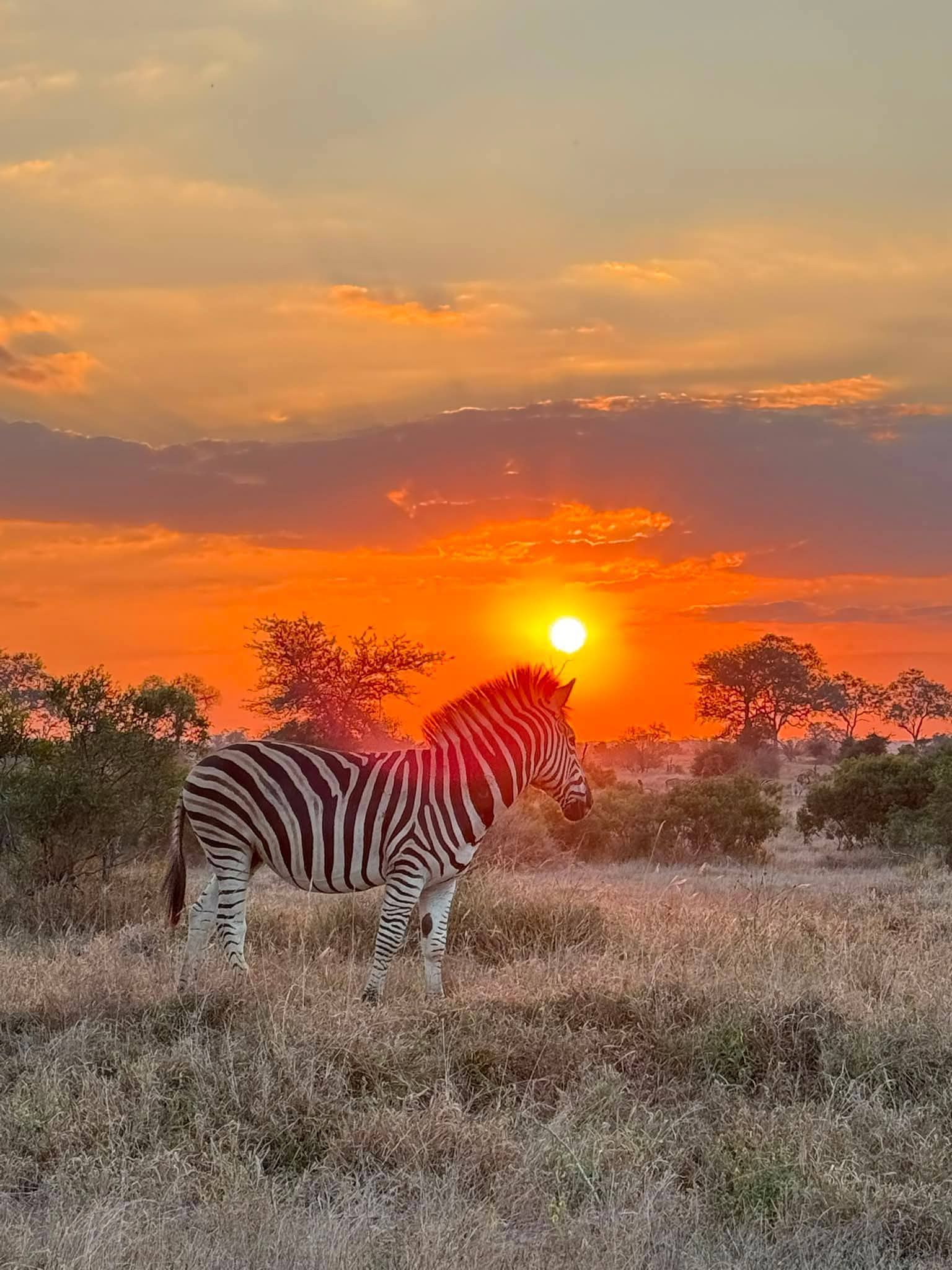 Safari_tsavo_East_e_ovest_amboseli_masai_Mara_068