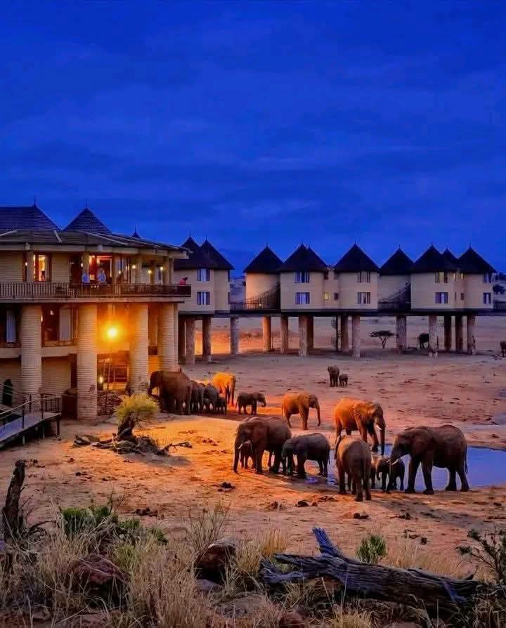 Safari_tsavo_East_e_ovest_amboseli_masai_Mara_086