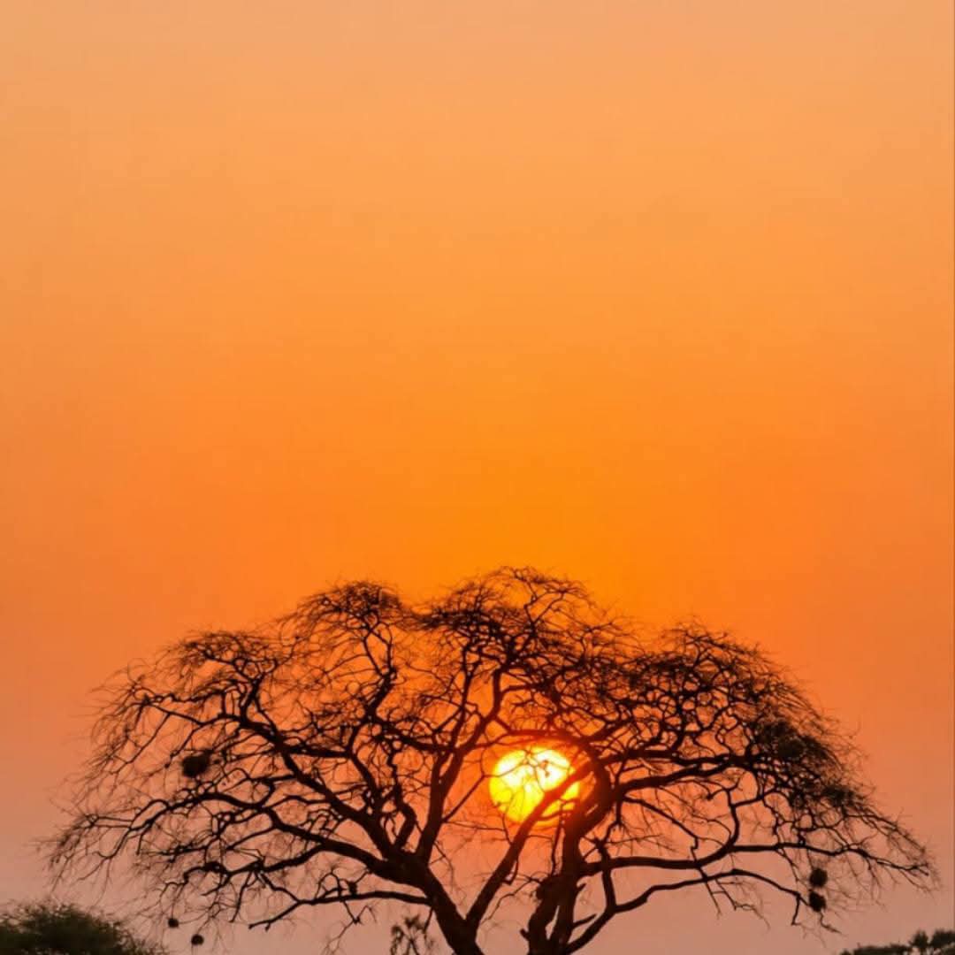 Safari_tsavo_East_e_ovest_amboseli_masai_Mara_094