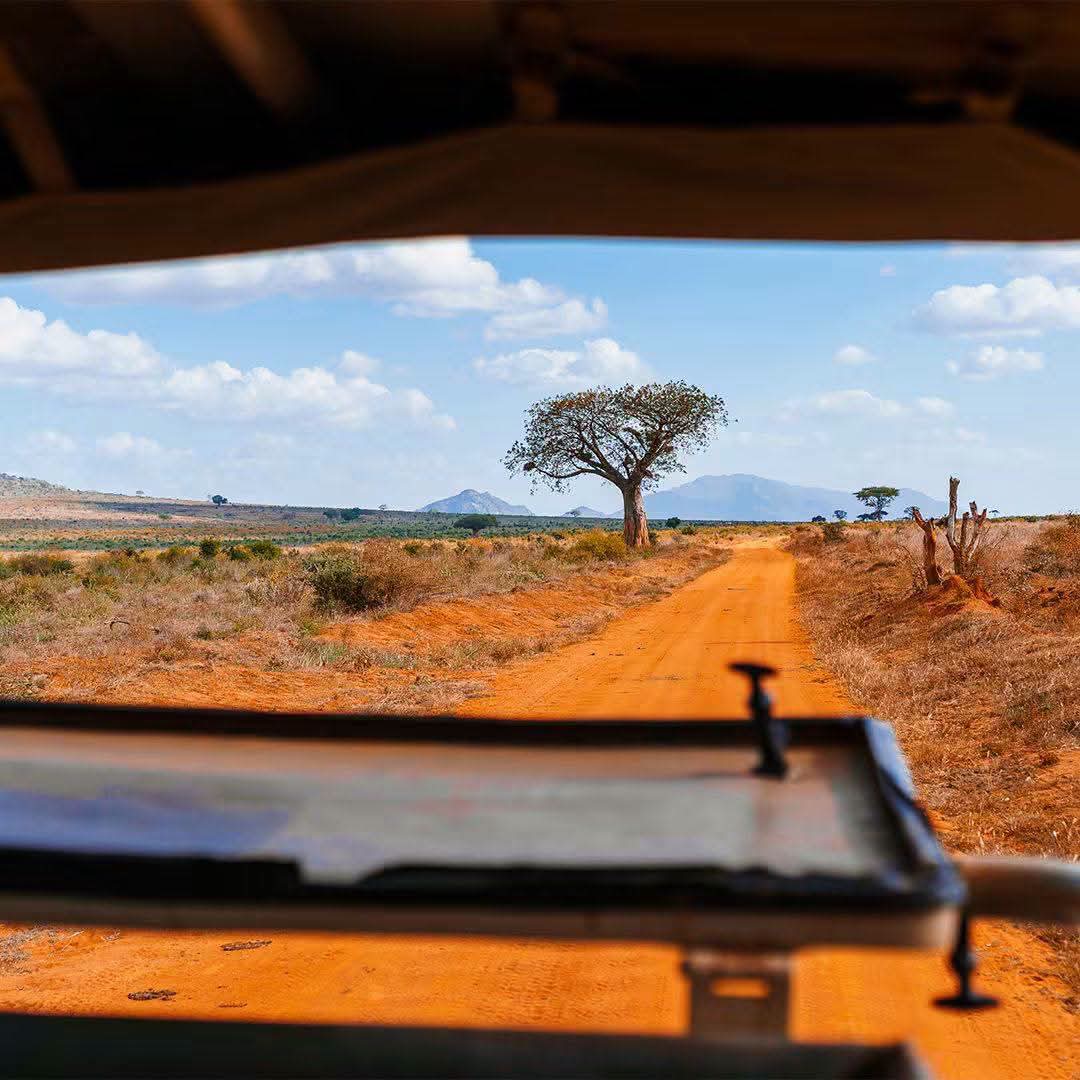 Safari_tsavo_East_e_ovest_amboseli_masai_Mara_100