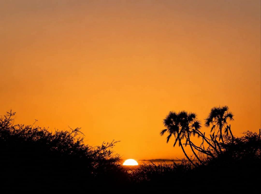 Safari_tsavo_East_e_ovest_amboseli_masai_Mara_101