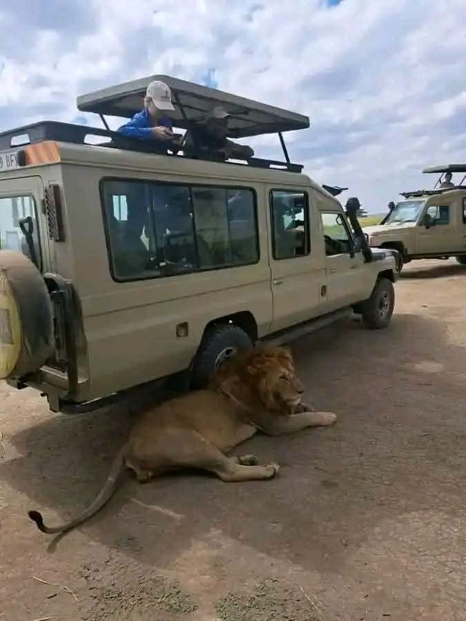 Safari_tsavo_East_e_ovest_amboseli_masai_Mara_104