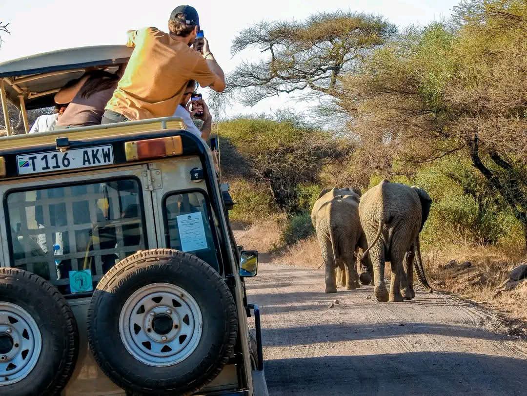 Safari_tsavo_East_e_ovest_amboseli_masai_Mara_107
