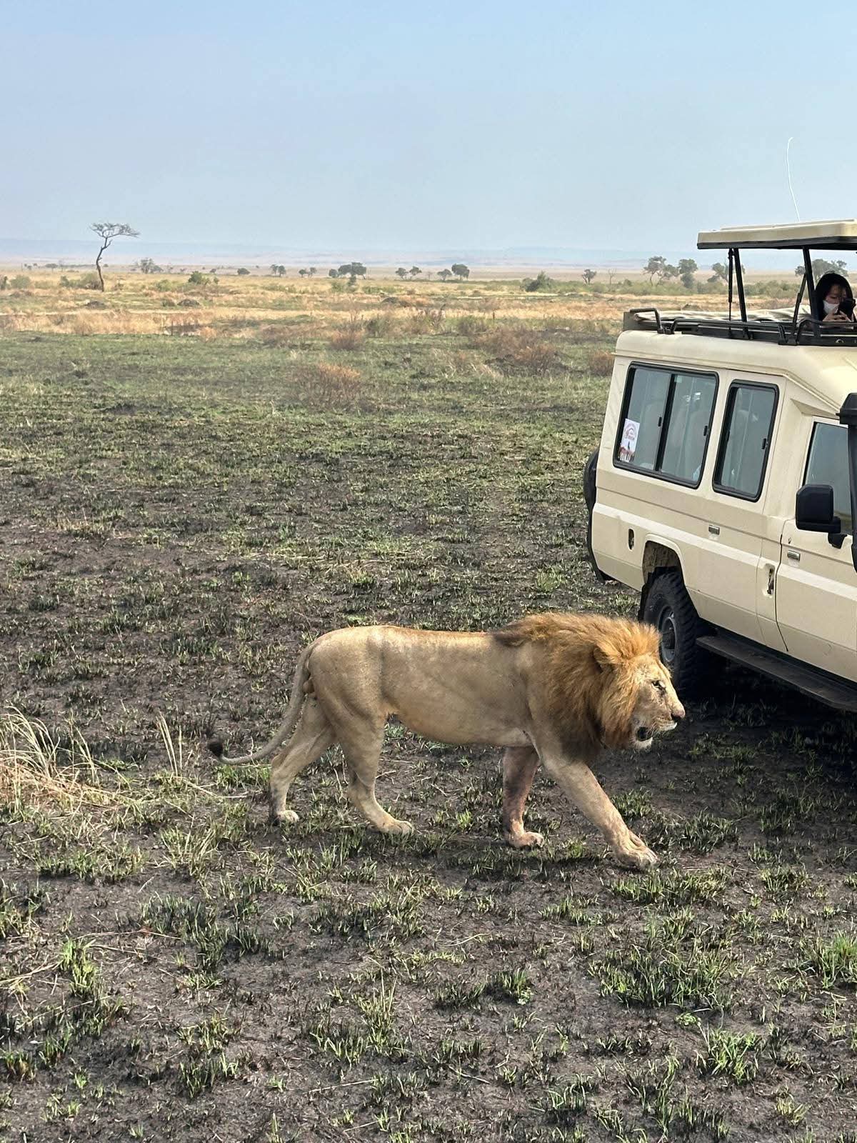 Safari_tsavo_East_e_ovest_amboseli_masai_Mara_116