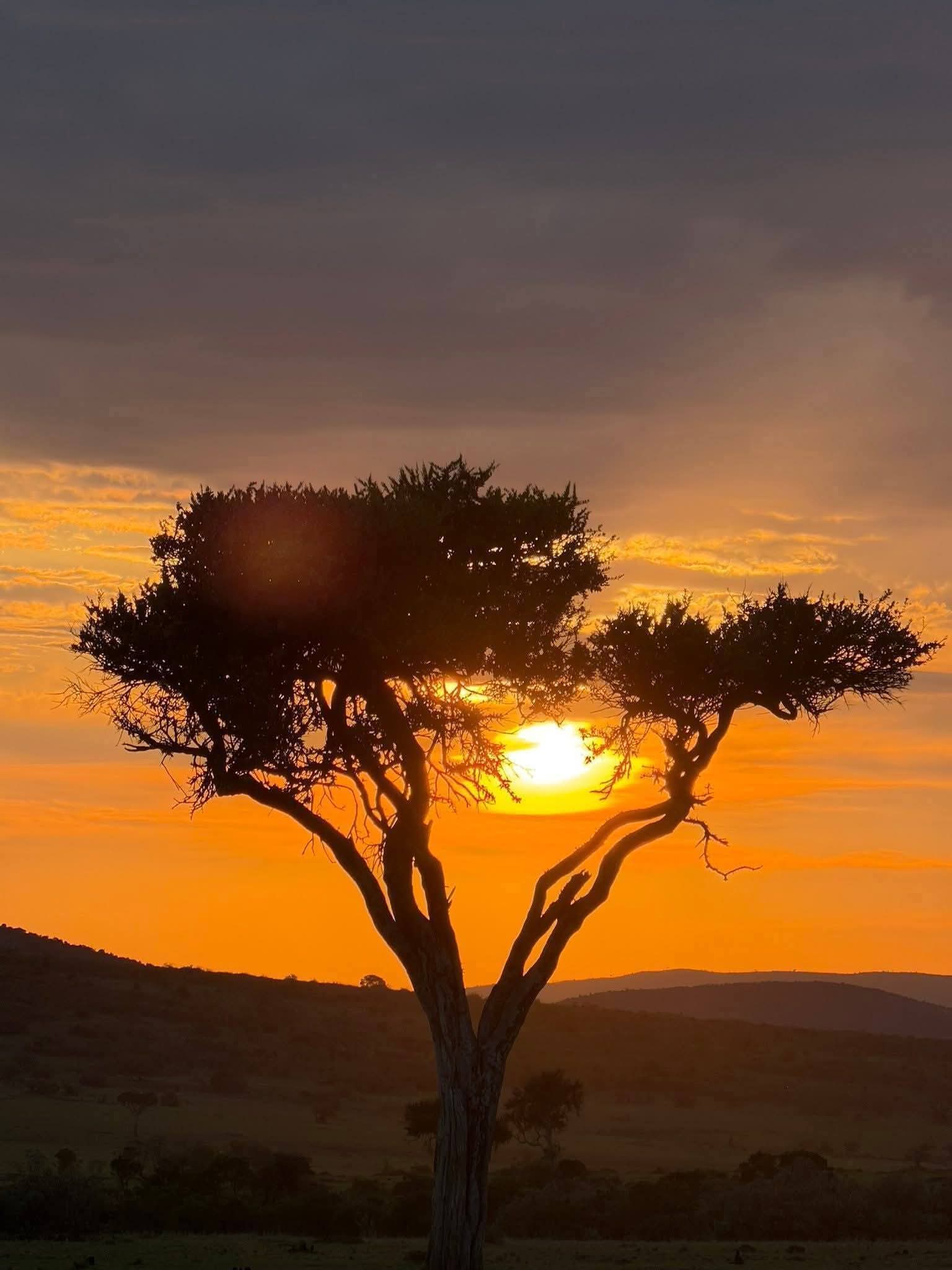 Safari_tsavo_East_e_ovest_amboseli_masai_Mara_121